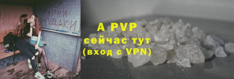 A-PVP СК КРИС  Малая Вишера 